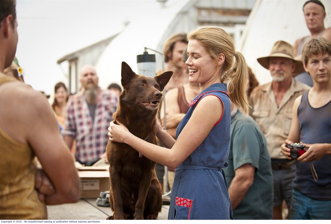 Red Dog : Foto Rachael Taylor