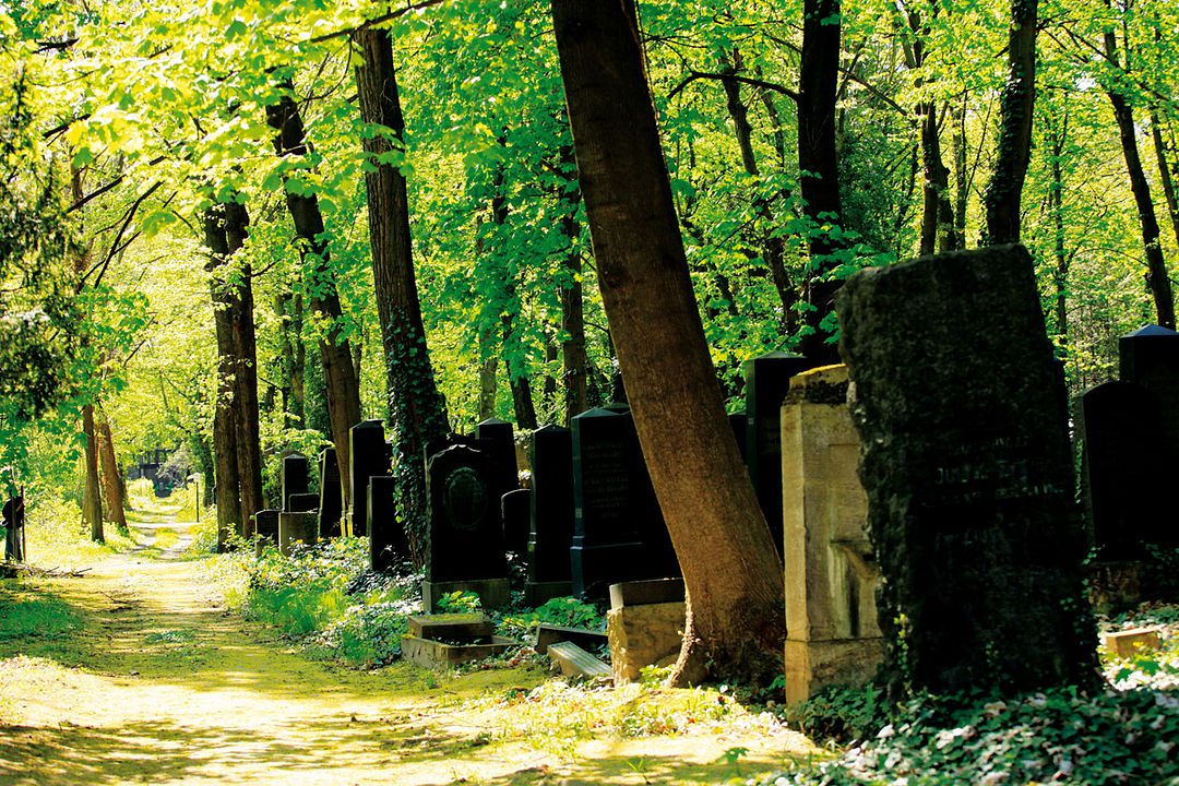 Im Himmel, unter der Erde - Der jüdische Friedhof Weißensee : Foto