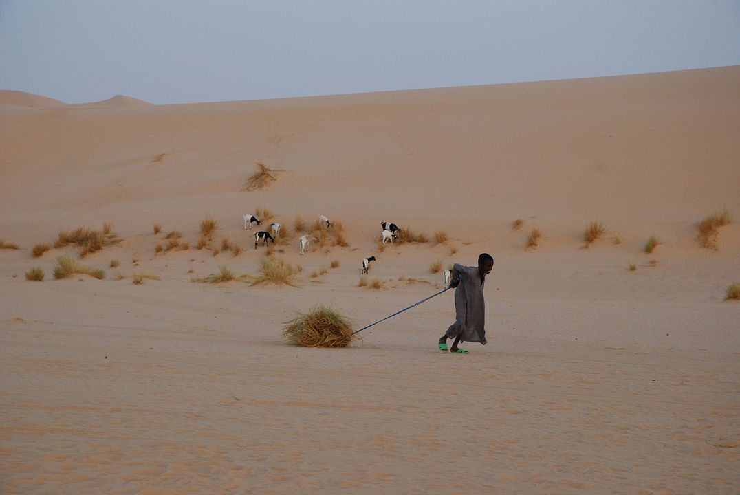 Vents de sable, femmes de roc : Foto Nathalie Borgers
