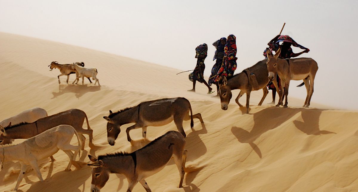 Vents de sable, femmes de roc : Foto Nathalie Borgers