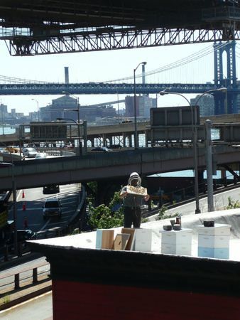 Taste the Waste : Foto