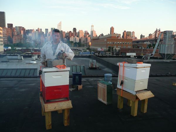 Taste the Waste : Foto