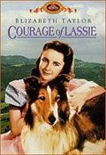 El coraje de Lassie : Cartel