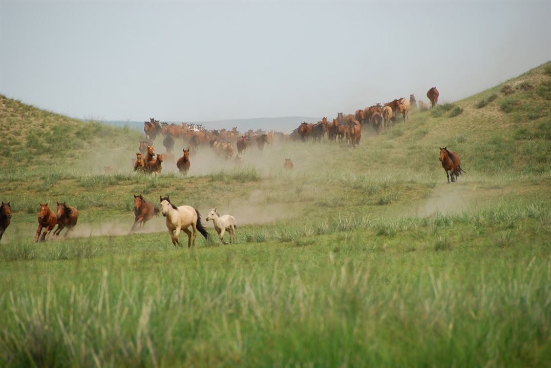 Los dos caballos de Genghis Khan : Foto Byambasuren Davaa