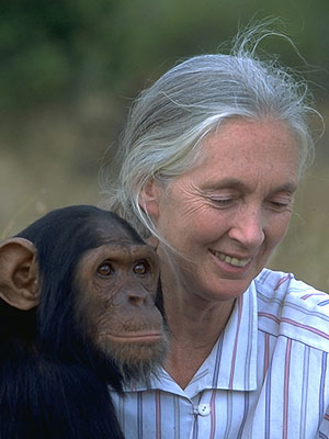 Cartel Jane Goodall