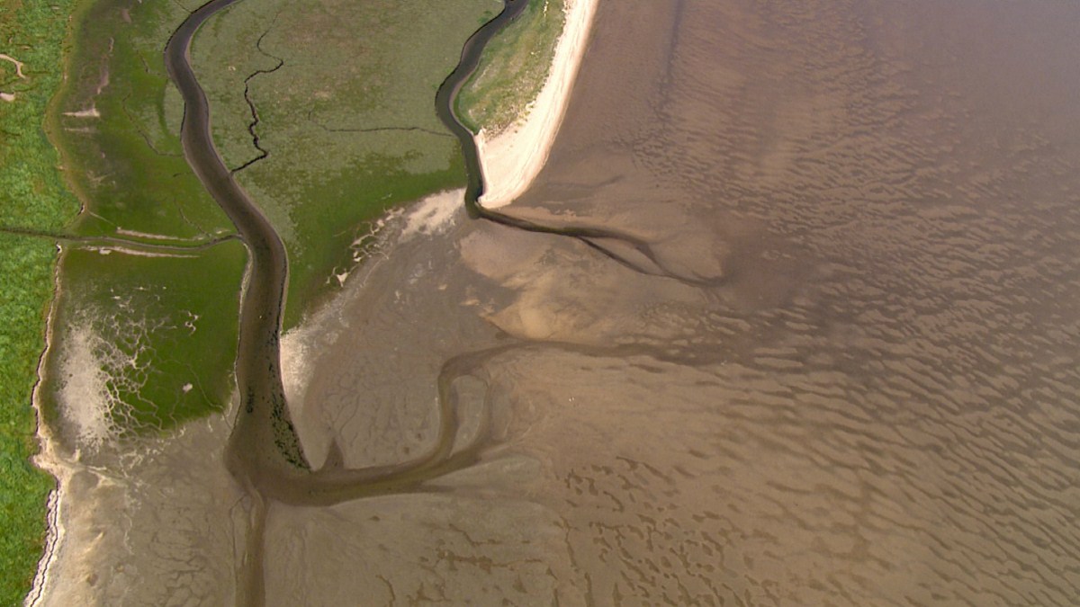 Die Nordsee von oben : Foto