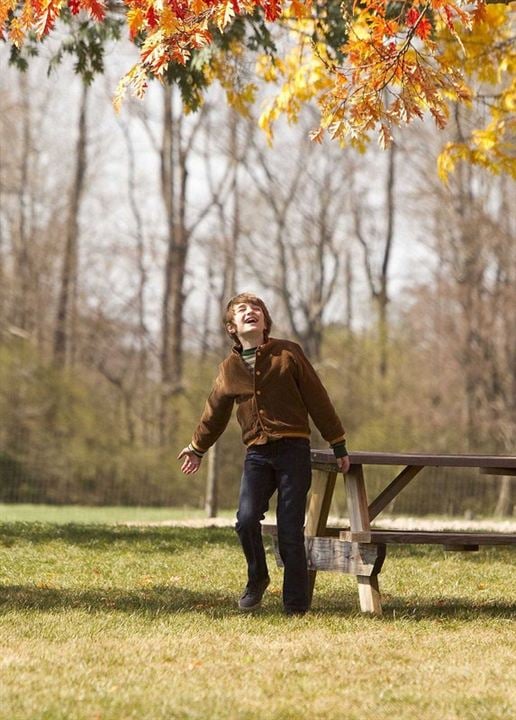 La extraña vida de Timothy Green : Foto Cameron C.J. Adams