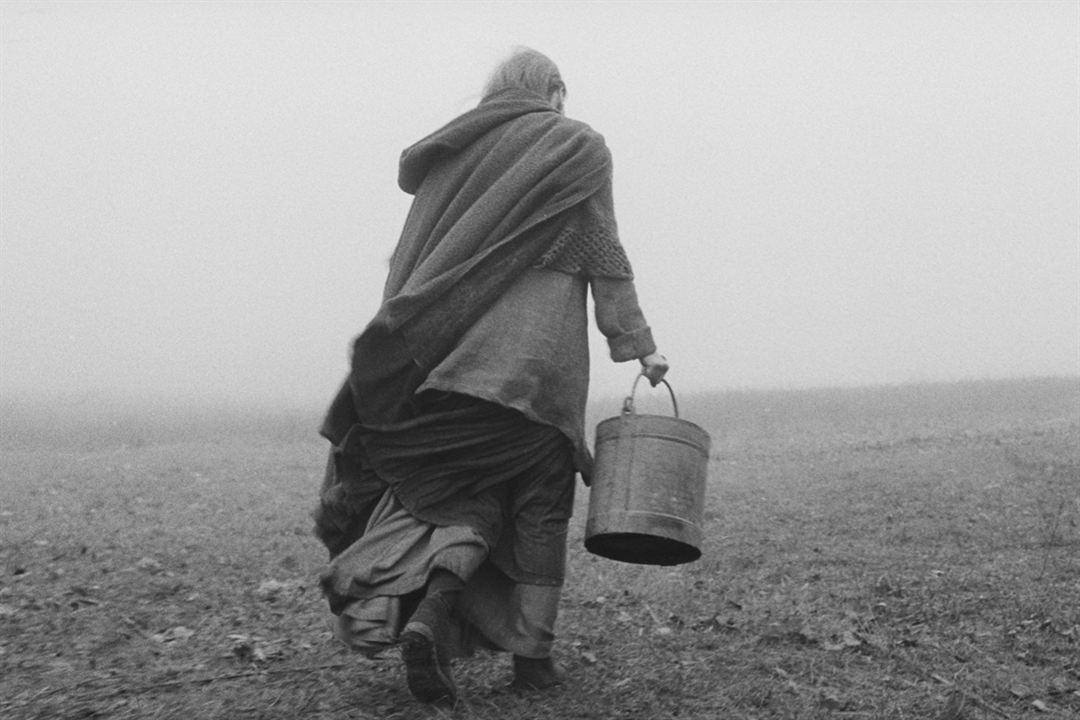 The Turin horse : Foto