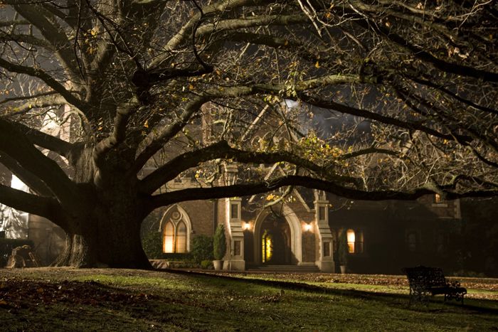 No tengas miedo a la oscuridad : Foto