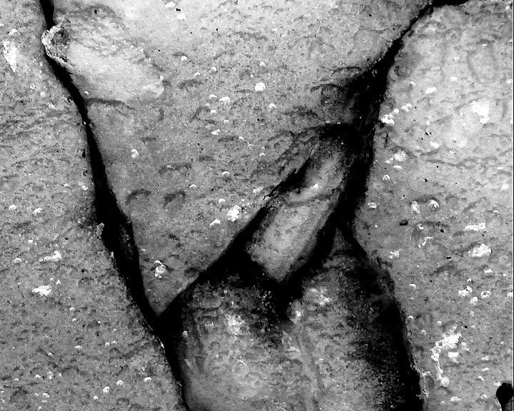 Qu'ils reposent en révolte : Foto