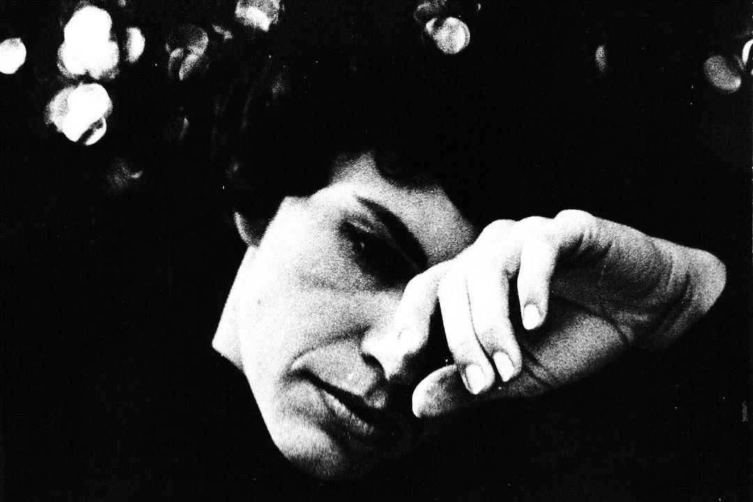 Sing! Inge, Sing! - Der zerbrochene Traum der Inge Brandenburg : Foto