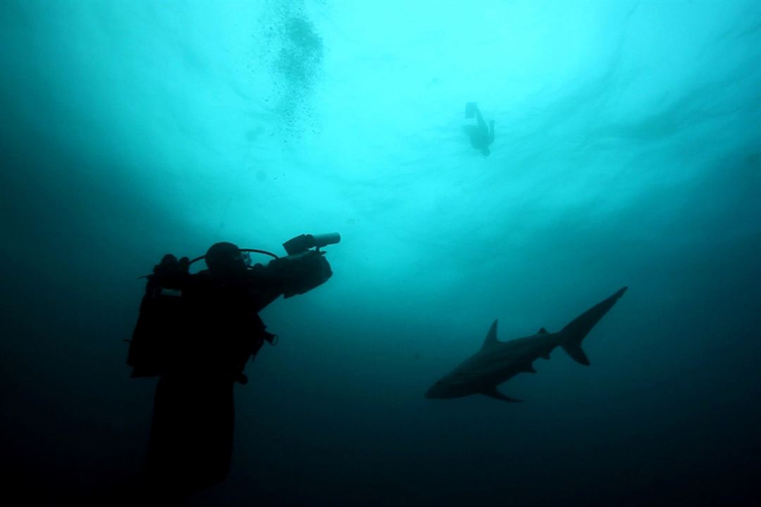 Marea letal : Foto John Stockwell