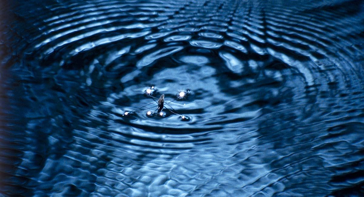 Foto Marie Pérennou, Claude Nuridsany