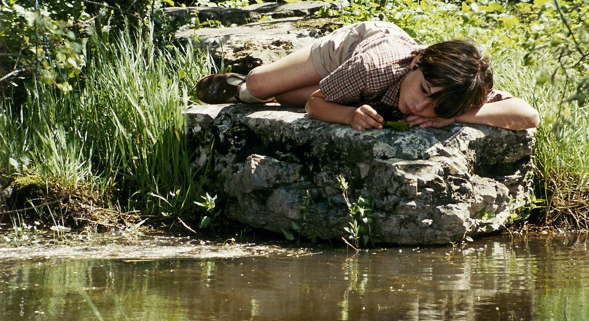 Foto Claude Nuridsany, Marie Pérennou