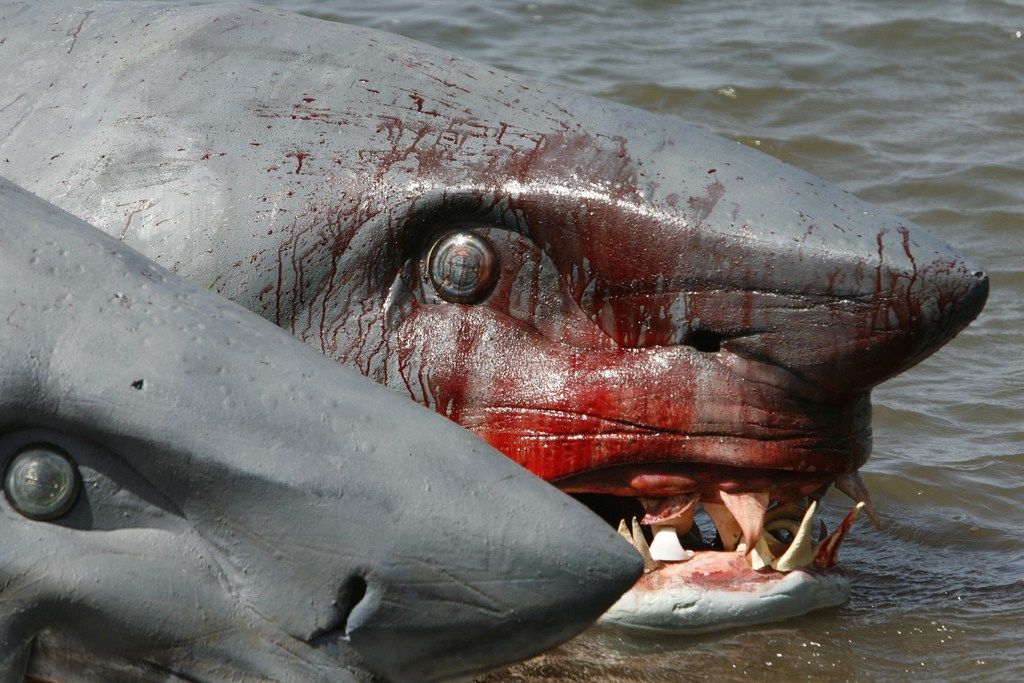 El ataque del tiburón de dos cabezas : Foto