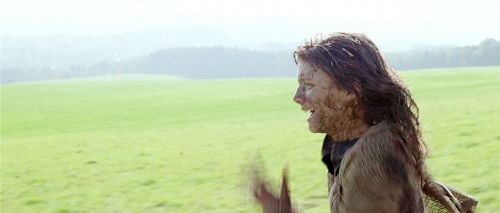 Malditos bastardos : Foto