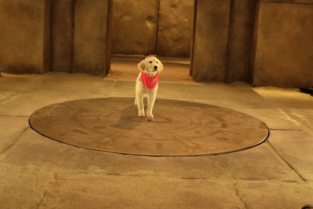 Los buddies cazatesoros : Foto