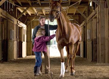 Dreamer: Camino hacia la victoria : Foto