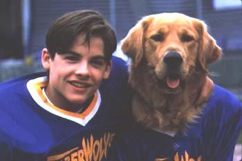 Air Bud: El fichaje de la liga : Foto