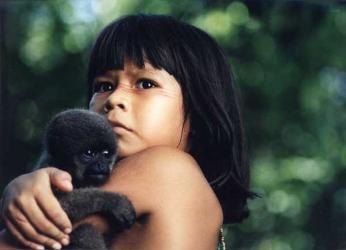 Taina - Uma Aventura na Amazonia : Foto
