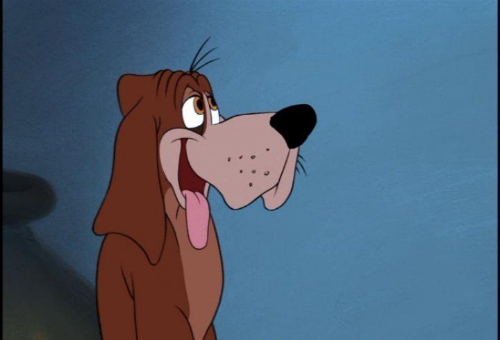 La cenicienta : Foto