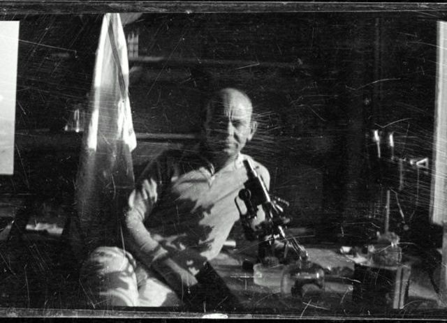 Sergej in der Urne : Foto