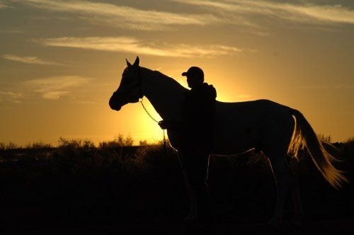 Tornado and the Kalahari Horse Whisperer : Foto