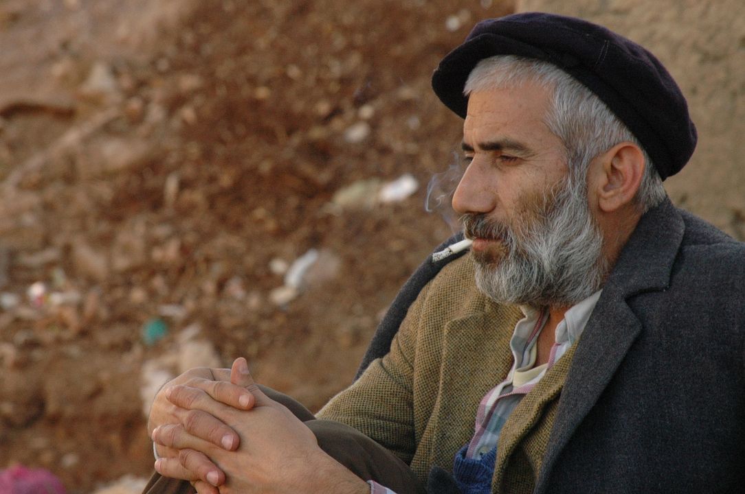 Yürüyüş (Meş) : Foto