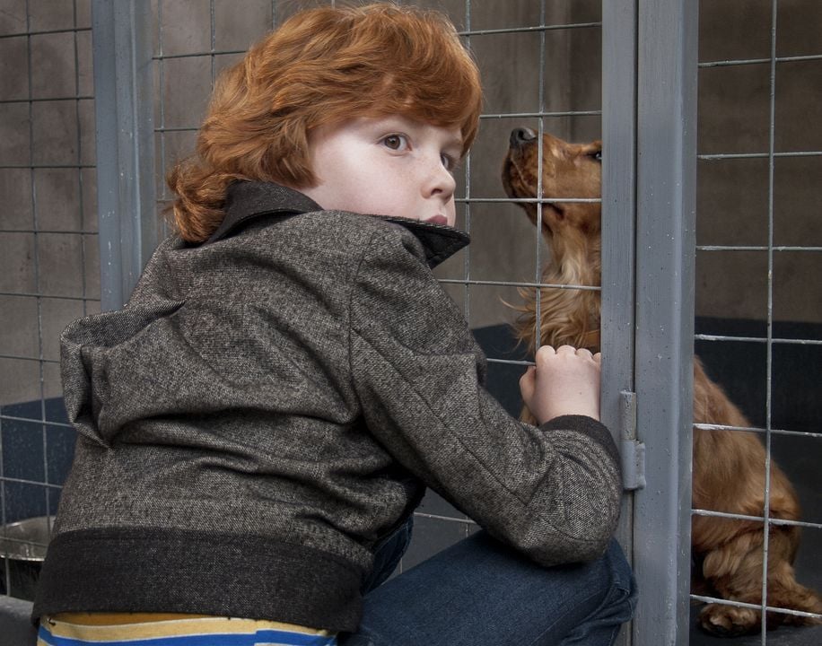 Foto Charles Crombez