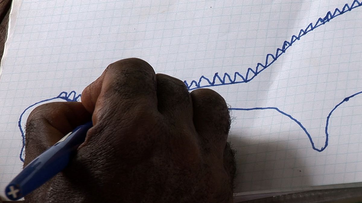 L'Hypothèse du Mokélé M'Bembé : Foto