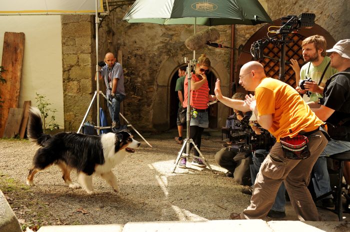 Los Cinco y el misterio de la joya escondida : Foto
