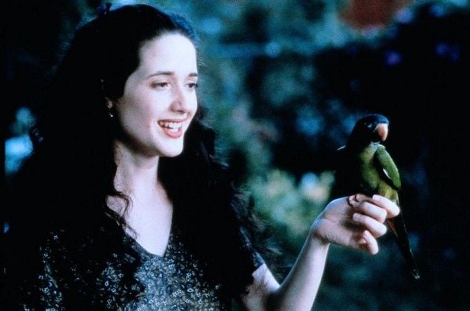 Paulie, el loro bocazas : Foto