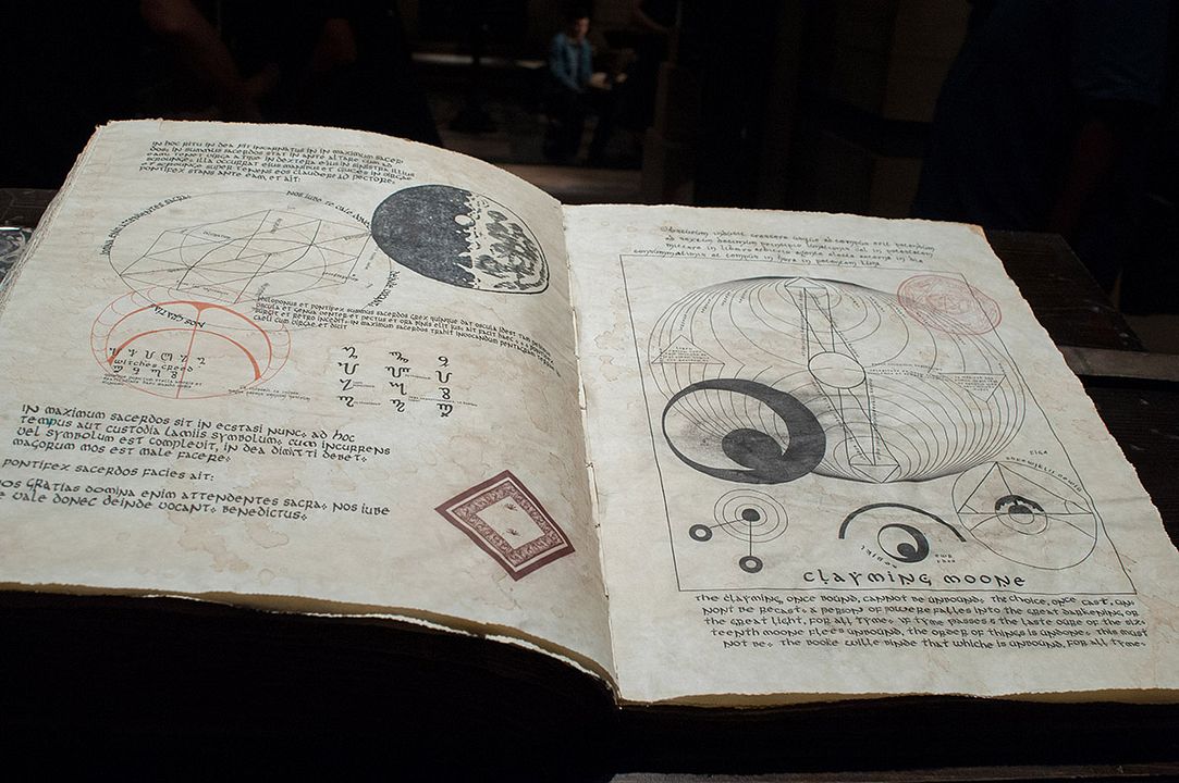 Hermosas criaturas : Foto