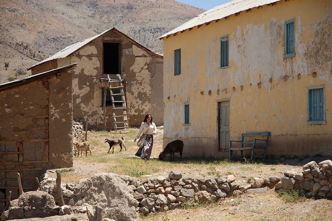Violeta se fue a los cielos : Foto