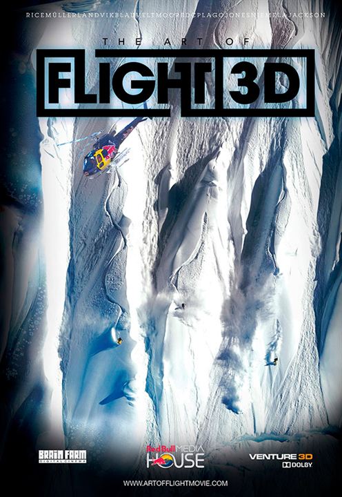 The Art of Flight 3D : Cartel