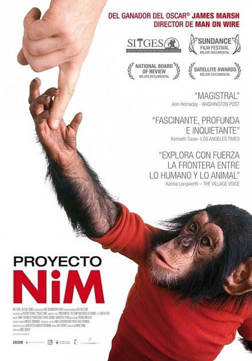 Proyecto Nim : Cartel