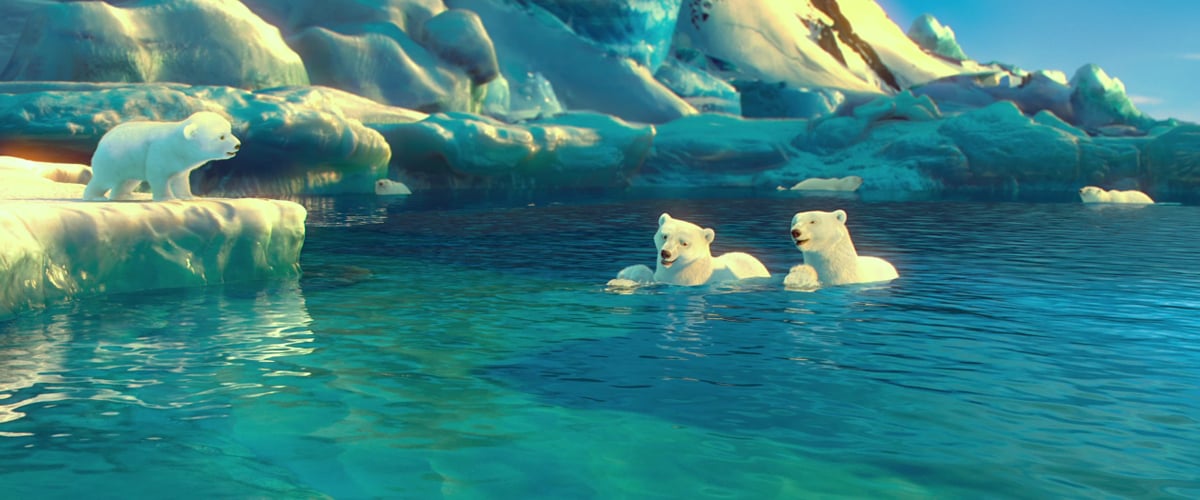 The Polar Bears : Foto John Stevenson