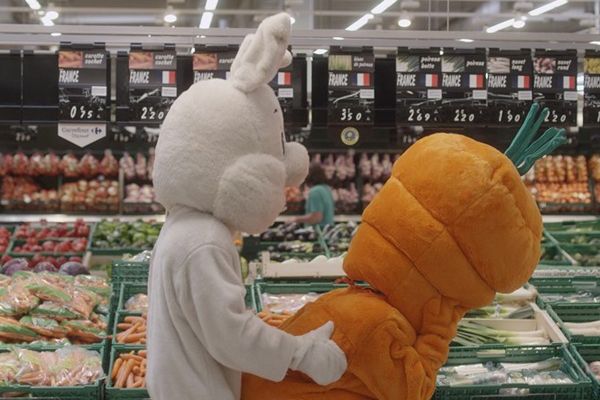 N'importe qui : Foto