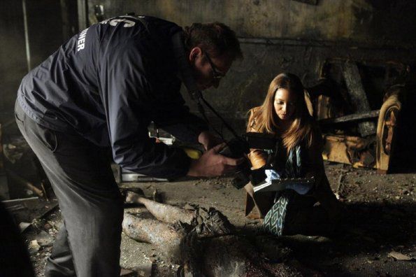 Castle : Foto Tamala Jones