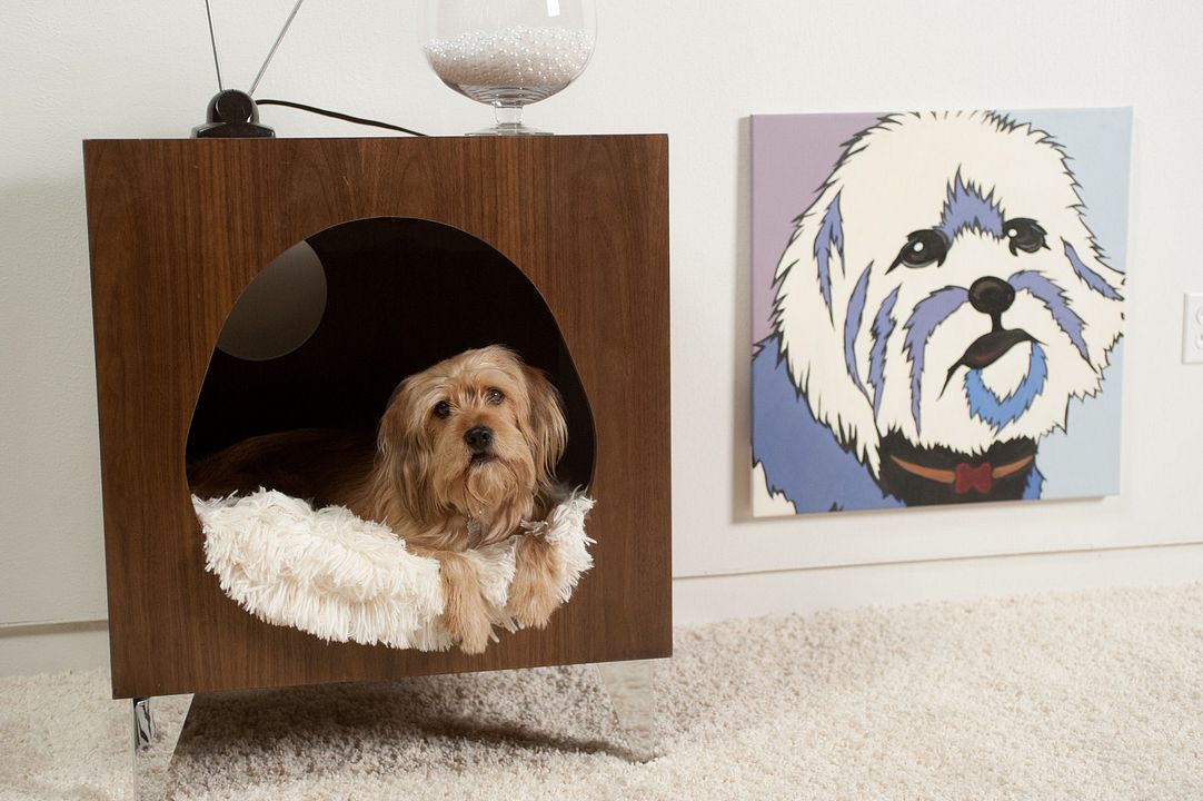 Los amos de la noticia : Foto