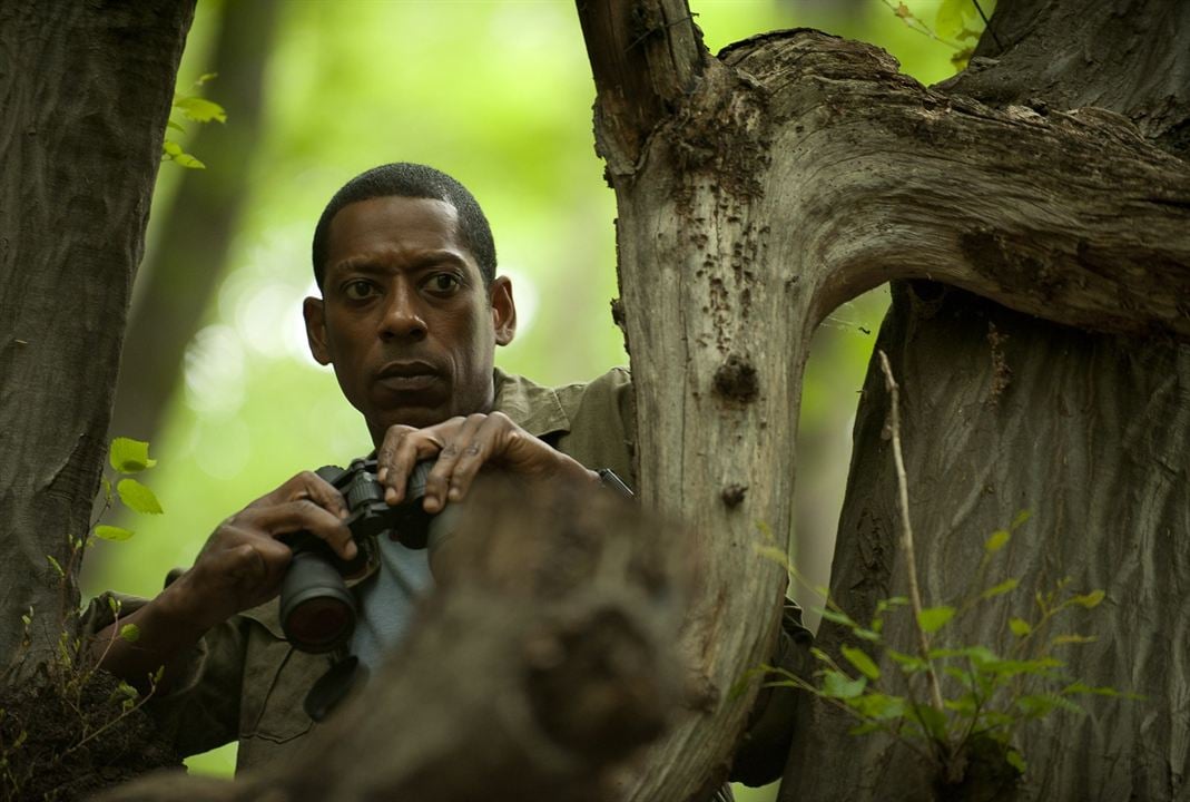 Cerco al enemigo : Foto Orlando Jones