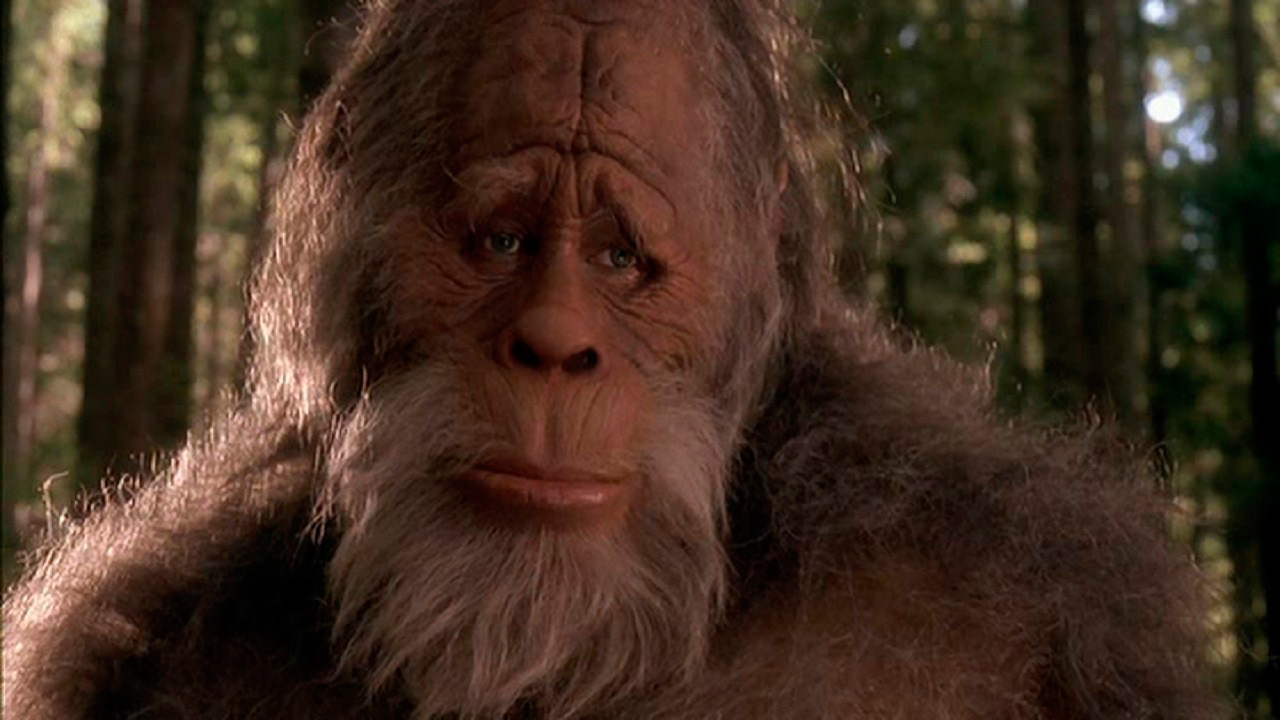 Bigfoot y los Hendersons : Foto