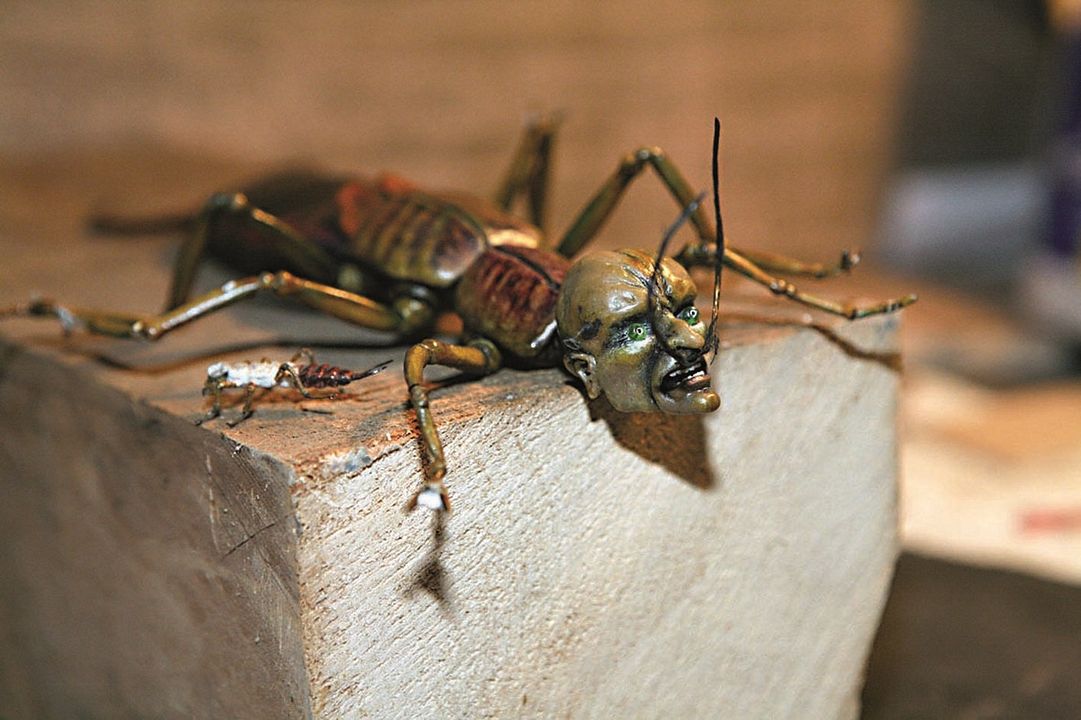 Aventuras en el desván : Foto