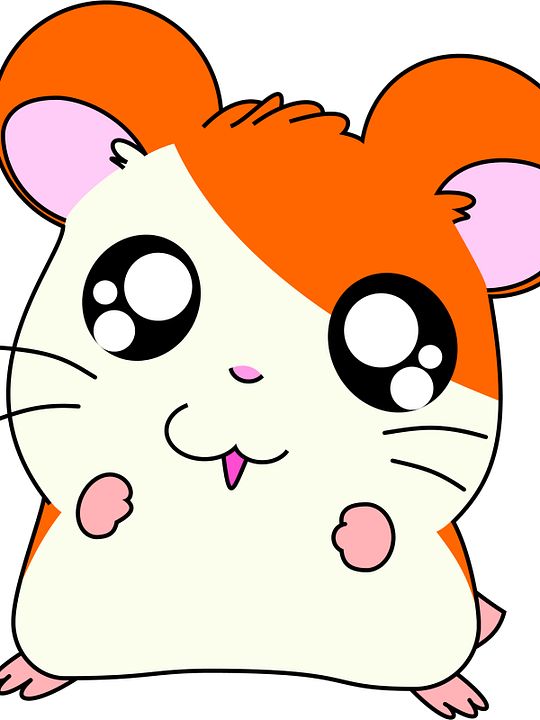 Hamtaro : Cartel