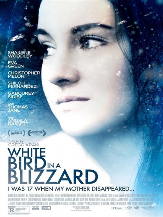 White Bird in a Blizzard : Cartel