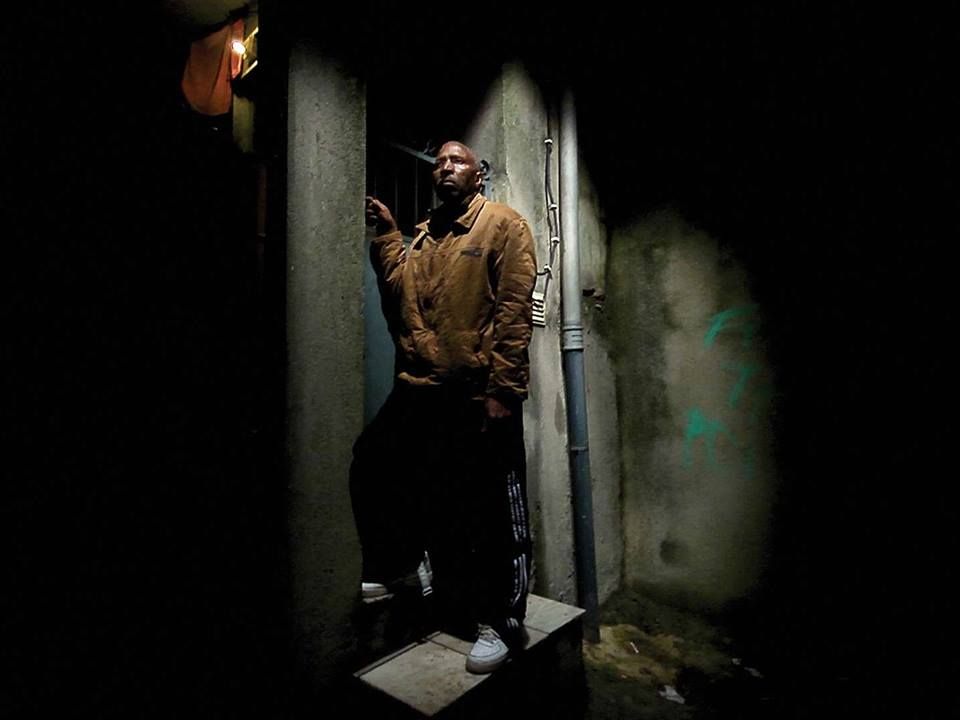 Caballo dinero : Foto