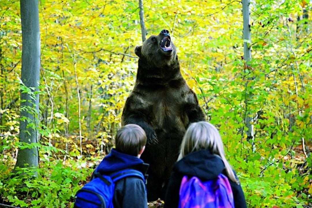 Una aventura salvaje : Foto