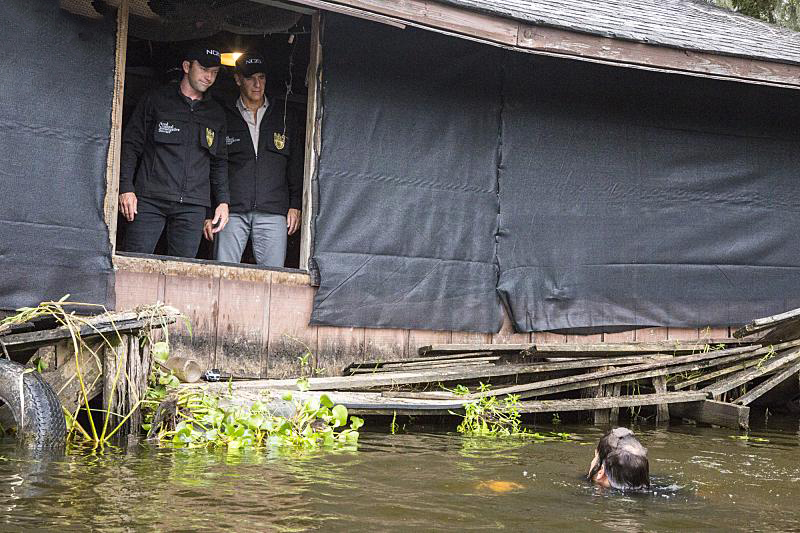 NCIS : Nueva Orleans : Foto Lucas Black, Scott Bakula