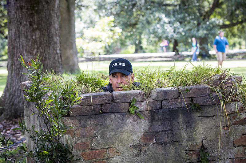 NCIS : Nueva Orleans : Foto Scott Bakula