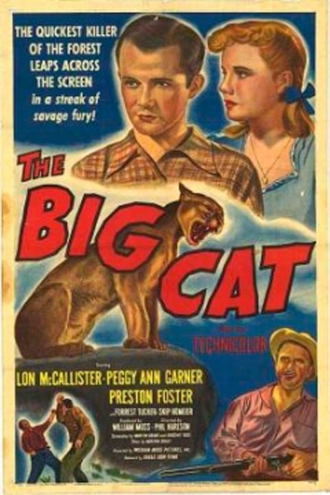 El gran gato : Cartel